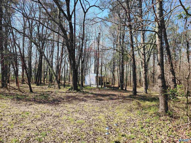 11008 County Road 121, Valley Head, AL 35989