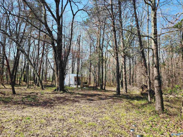 11008 County Road 121, Valley Head, AL 35989