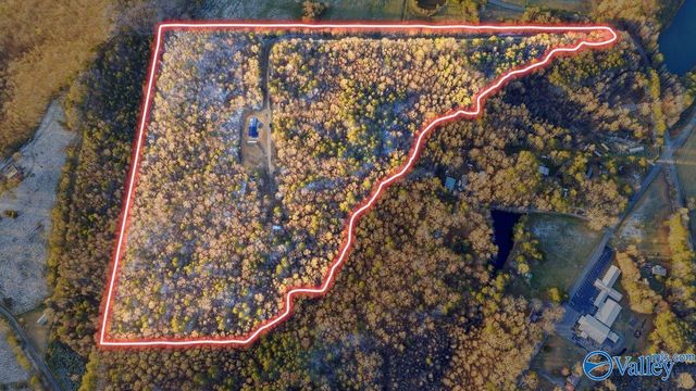 11008 County Road 121, Valley Head, AL 35989