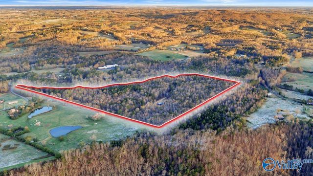 11008 County Road 121, Valley Head, AL 35989