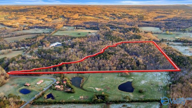 11008 County Road 121, Valley Head, AL 35989