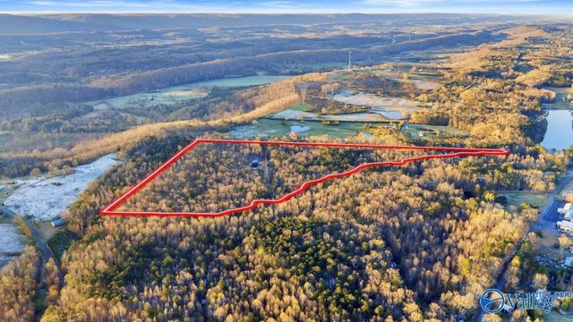 11008 County Road 121, Valley Head, AL 35989