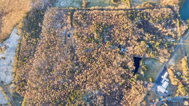 11008 County Road 121, Valley Head, AL 35989