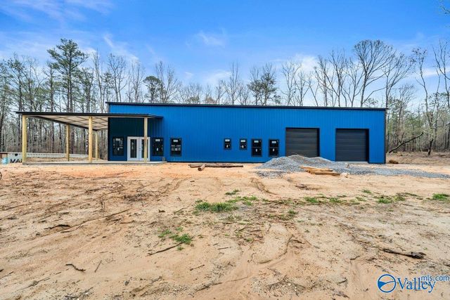 11008 County Road 121, Valley Head, AL 35989