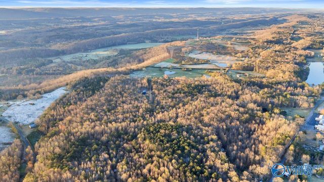 11008 County Road 121, Valley Head, AL 35989