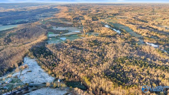 11008 County Road 121, Valley Head, AL 35989