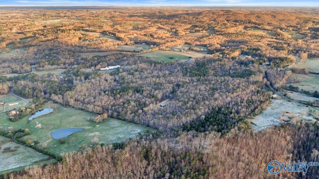 11008 County Road 121, Valley Head, AL 35989