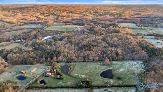 11008 County Road 121, Valley Head, AL 35989