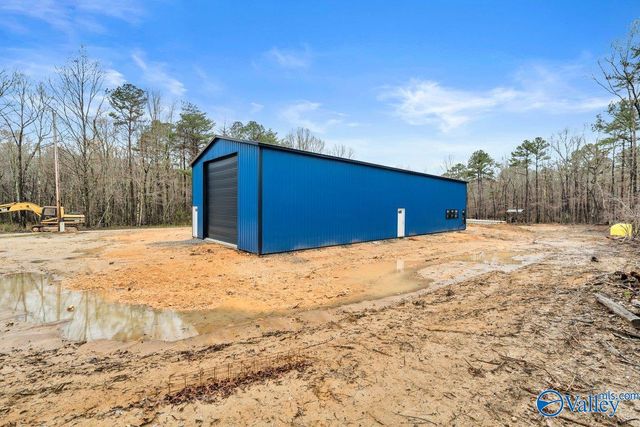 11008 County Road 121, Valley Head, AL 35989