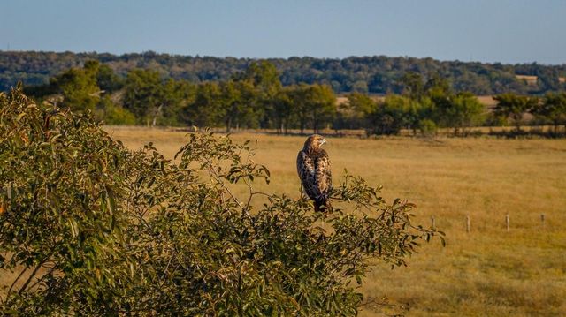 T-12 Providence Road, Calvert, TX 77837