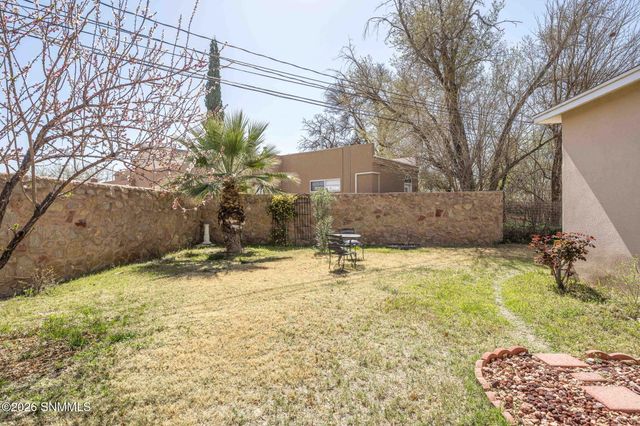 1025 Organ View, Las Cruces, NM 88005