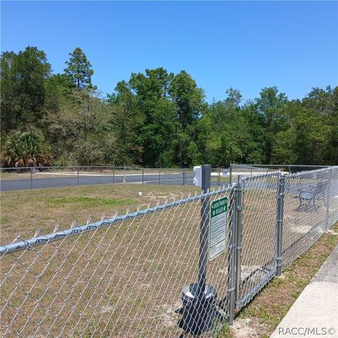 7899 W Fostoria Drive, Dunnellon, FL 34433