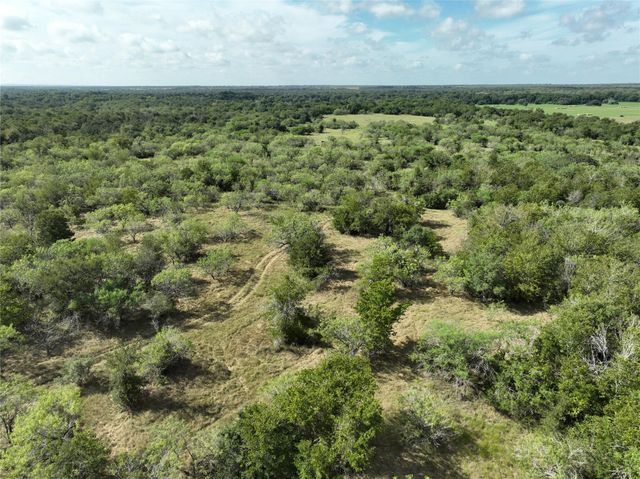 TBD Lot 22 CR 424 RD, Waelder, TX 78629