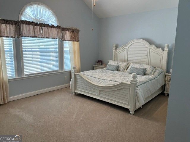 311 Acuba View, Woodstock, GA 30188