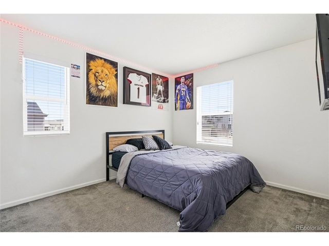 3594 Happyheart Way, Castle Rock, CO 80109