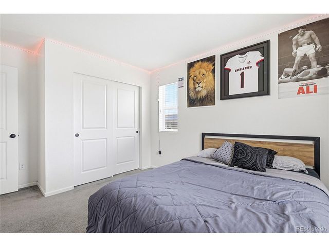 3594 Happyheart Way, Castle Rock, CO 80109