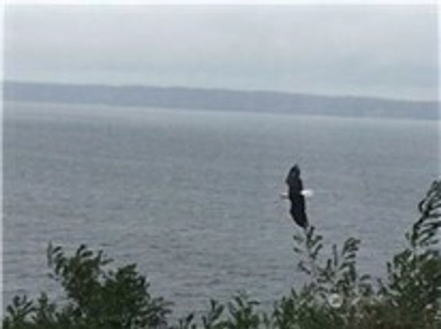 4115 76th Place NW, Tulalip, WA 98271