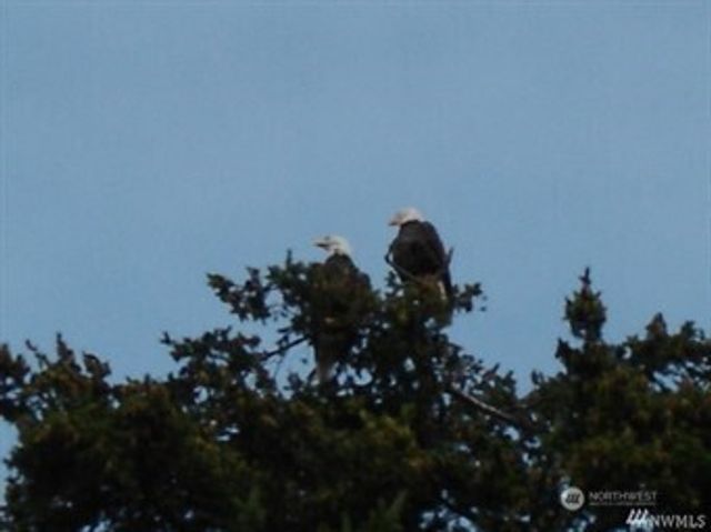 4115 76th Place NW, Tulalip, WA 98271