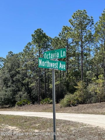0 Northwest Avenue, Webster, FL 33597