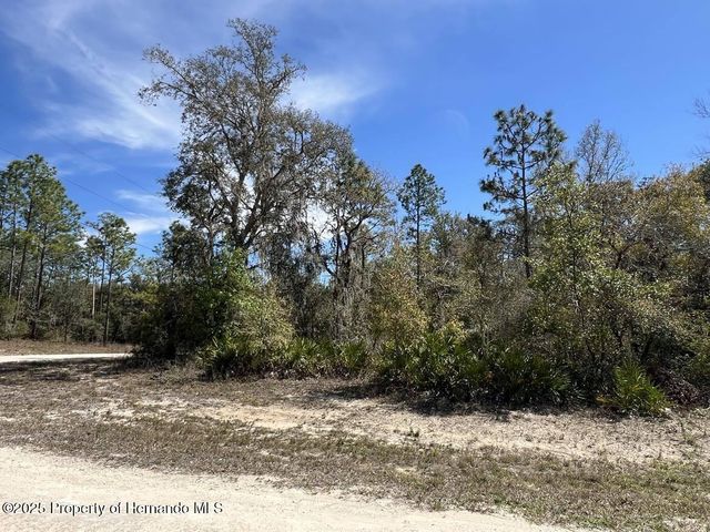 0 Northwest Avenue, Webster, FL 33597