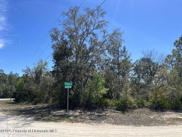 0 Northwest Avenue, Webster, FL 33597