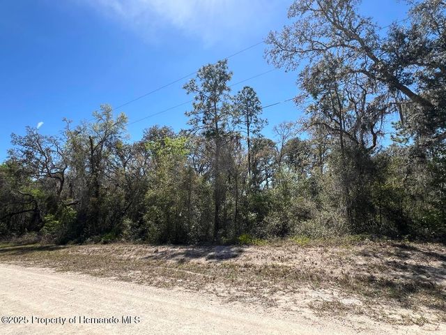 0 Northwest Avenue, Webster, FL 33597
