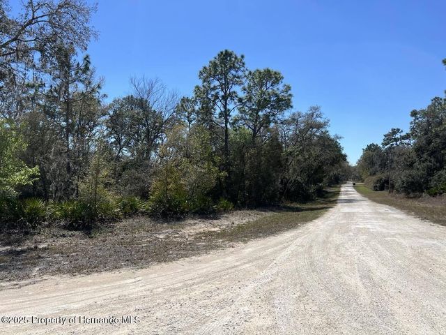 0 Northwest Avenue, Webster, FL 33597