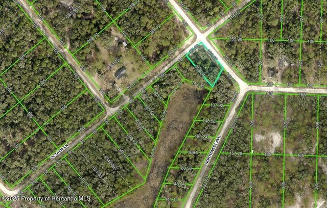 0 Northwest Avenue, Webster, FL 33597