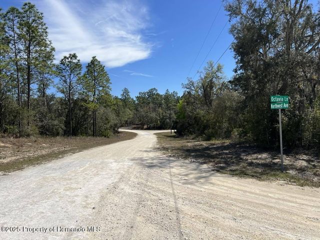 0 Northwest Avenue, Webster, FL 33597