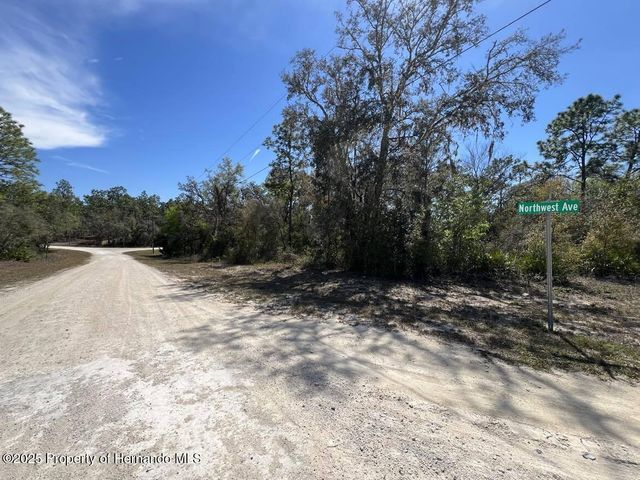 0 Northwest Avenue, Webster, FL 33597