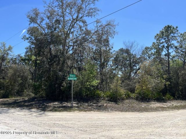 0 Northwest Avenue, Webster, FL 33597