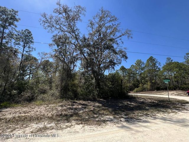 0 Northwest Avenue, Webster, FL 33597
