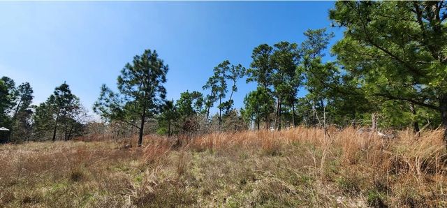 TBD OAHU CT, Bastrop, TX 78602