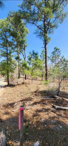 TBD OAHU CT, Bastrop, TX 78602