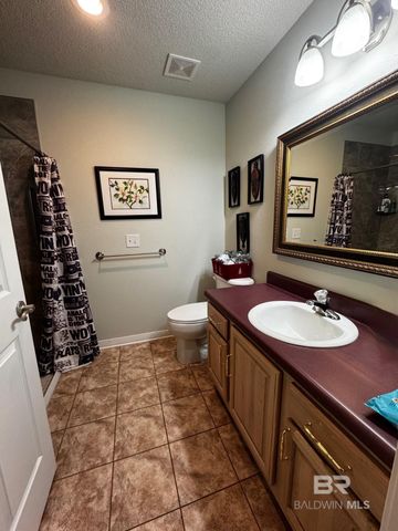 12411 White Osprey Drive, Lillian, AL 36549