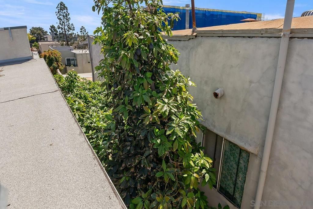 Image 48 of property listing at 3021 B, San Diego, CA 92102