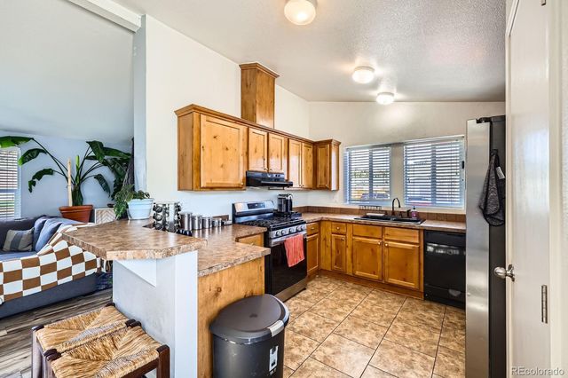 105 Red Cloud Peak Road, Dillon, CO 80435