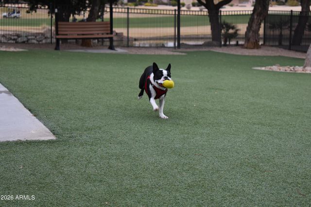 18726 N SALTILLO Drive, Surprise, AZ 85387