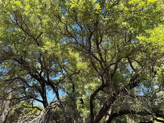 3707 Bob White Court, Granbury, TX 76049