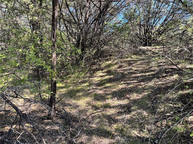 3707 Bob White Court, Granbury, TX 76049