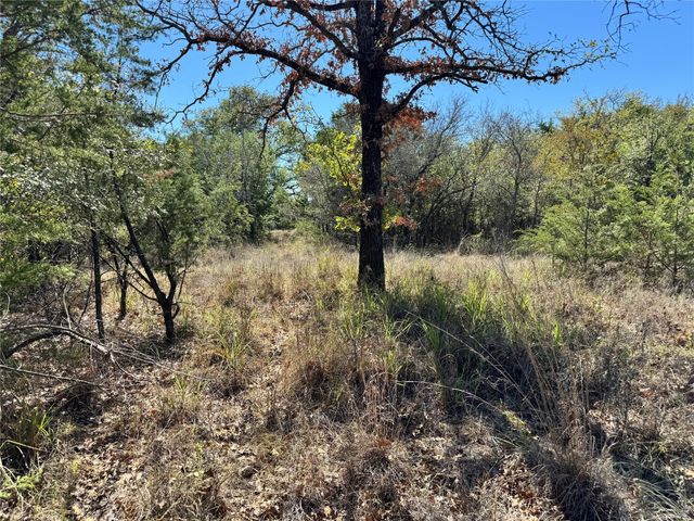 3707 Bob White Court, Granbury, TX 76049