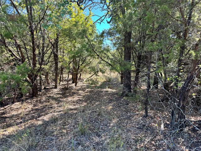3707 Bob White Court, Granbury, TX 76049
