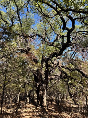 3707 Bob White Court, Granbury, TX 76049