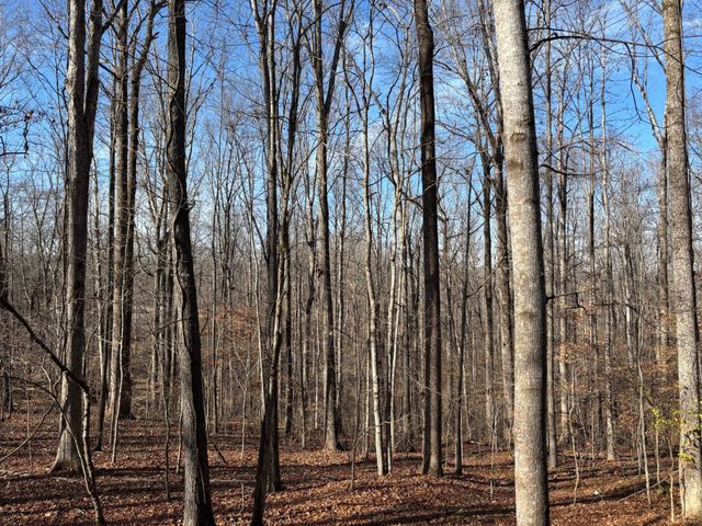 1051 Deer Ridge Rd, Kingston Springs, TN 37082