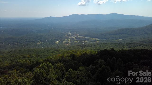 275 Kincaid Place 275, Mill Spring, NC 28756