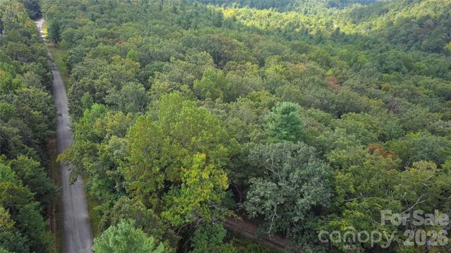 275 Kincaid Place 275, Mill Spring, NC 28756
