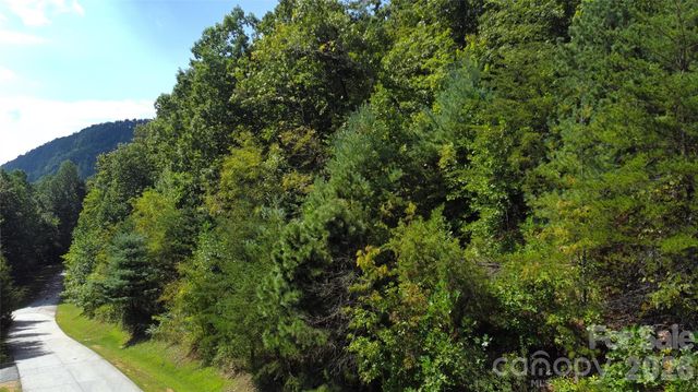 275 Kincaid Place 275, Mill Spring, NC 28756