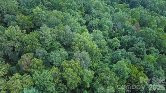 275 Kincaid Place 275, Mill Spring, NC 28756