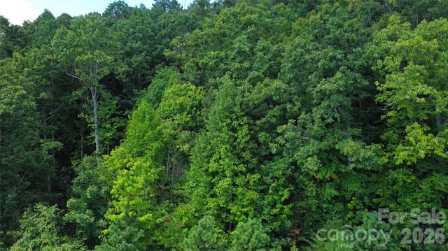 275 Kincaid Place 275, Mill Spring, NC 28756