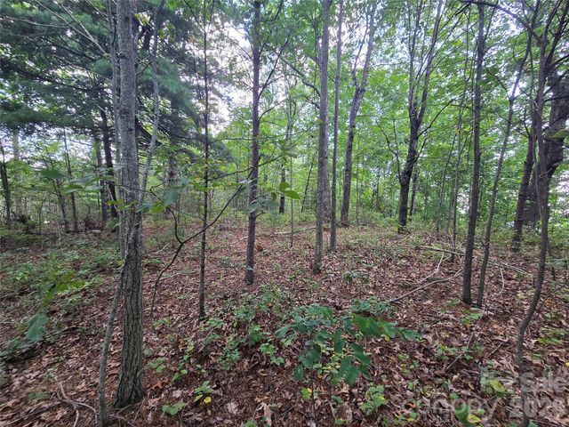 275 Kincaid Place 275, Mill Spring, NC 28756